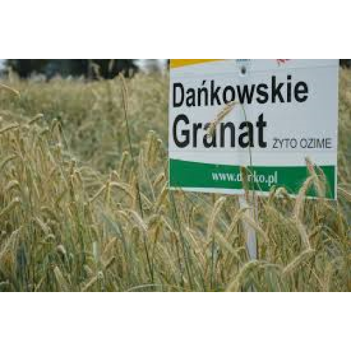 Dankowskie Granat ruis peitattu 600 kg